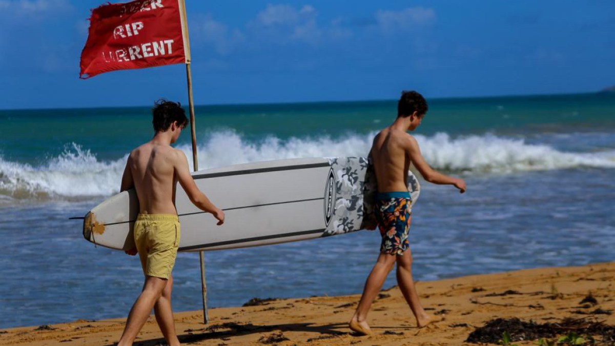 a couple of people that are walking on the beach