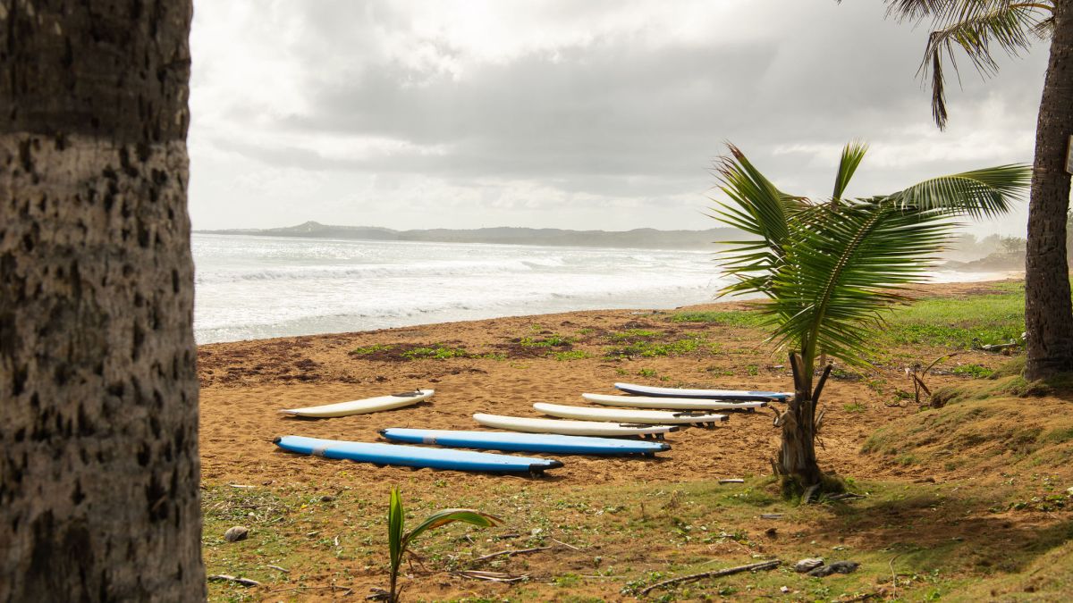 Surfing Puerto Rico Surf Shop in Luquillo, PR