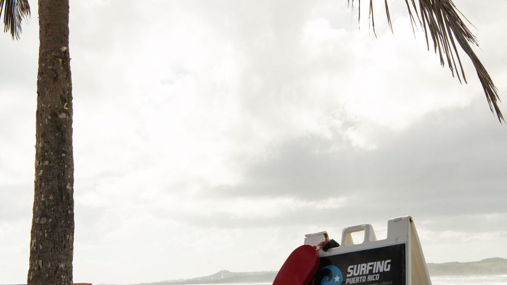 a sign on a beach with a palm tree